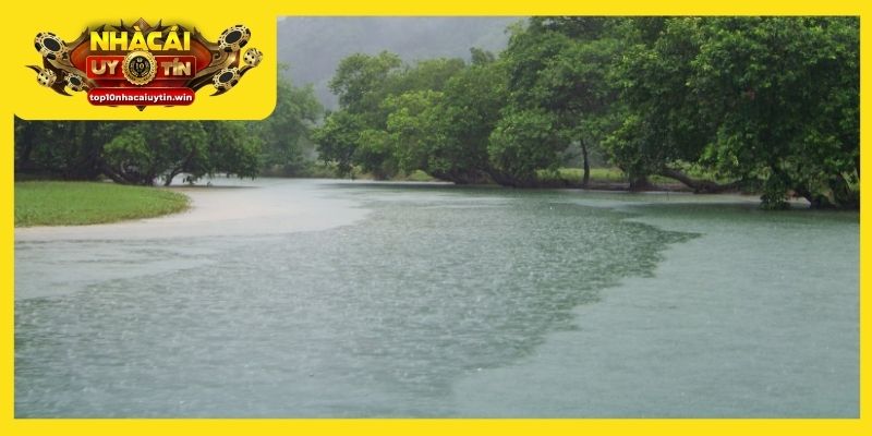 Mơ thấy nước là giấc chiêm bao thường gặp